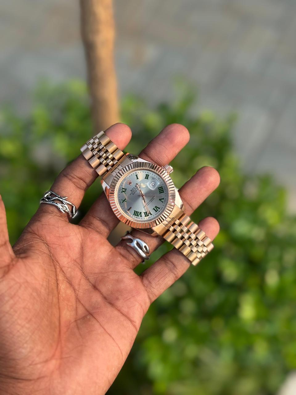 ROLEX-LAND DWELLERS-PRESIDENT COLLECTION-WATCH