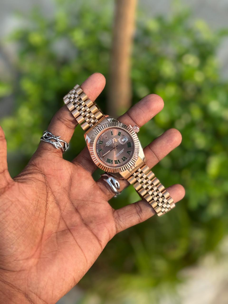 ROLEX-LAND DWELLERS-PRESIDENT COLLECTION-WATCH